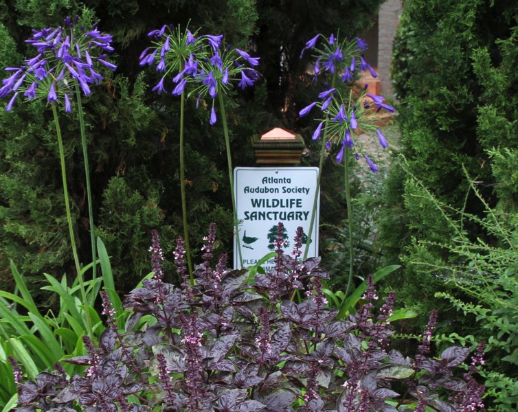 Bird Sanctuary wildlife habitat